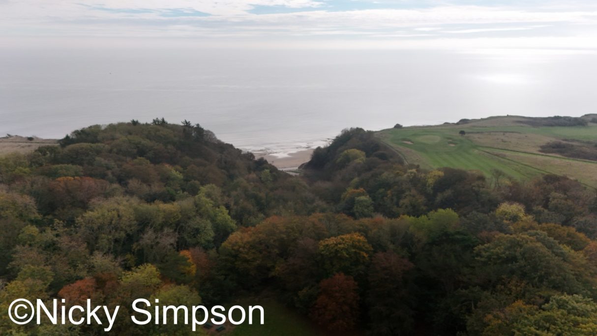 Aerial view of lush, green hills meeting a calm sea under a cloudy sky.