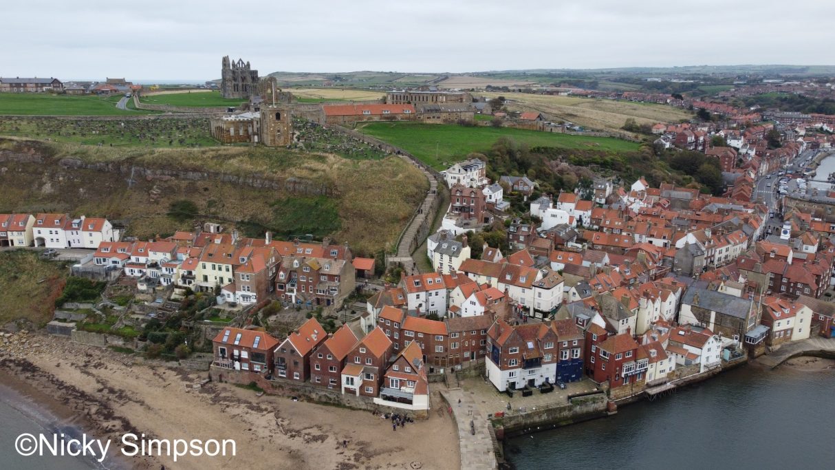 A coastal town with white houses and orange rooftops, near green hills and a castle.