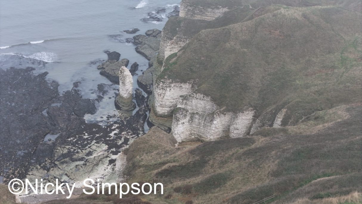 Aerial view of rugged cliffs and coastline with rocks and vegetation.